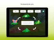 butterfly - game ipad images 4