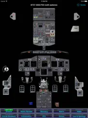 b737 cockpit companion ipad resimleri 1