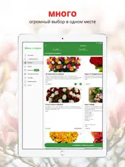 Цветы и подарки | Анапа ipad images 2