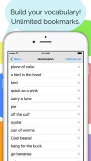 idioms and slang dictionary iphone resimleri 4