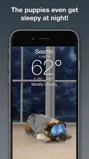 weather puppy forecast + radar iphone images 4