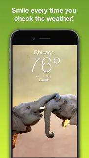 wildlife wallpaper weather iphone images 1
