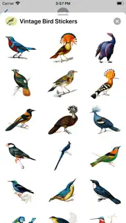 vintage bird stickers iphone images 2