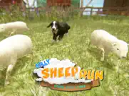 silly sheep run- farm dog game ipad images 4