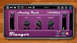 analog rack flanger iphone images 1