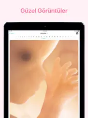 hamilelik + ipad resimleri 1
