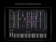 model 15 modular synthesizer ipad images 3