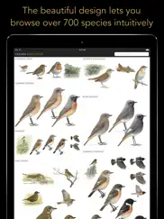 collins british bird guide iPad Captures Décran 1