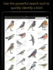 collins british bird guide iPad Captures Décran 3