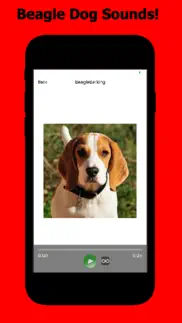 beagle sounds & dog sounds! iphone images 1