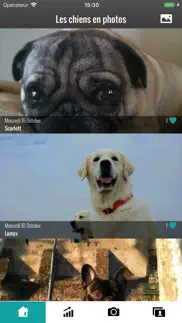 les chiens en photos iPhone Captures Décran 1
