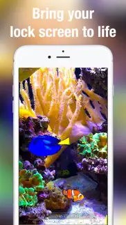 aquarium dynamic wallpapers iphone resimleri 2