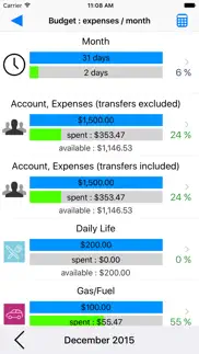 visual budget - finances iphone images 2