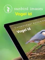 bird id - garden birds germany ipad images 1