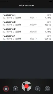 voice recorder - rec app iphone images 2