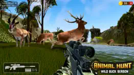 deer hunter hunting - clash 3d iphone images 4