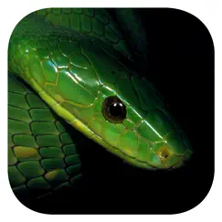 esnakes southern africa logo, reviews