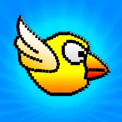 game of fun birds - cool run logo, reviews