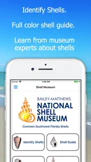 shell museum: identify shells iphone images 1