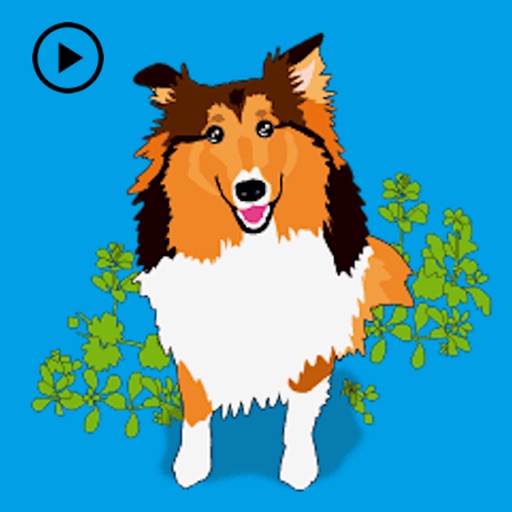 Exciting Sheltie Dog Sticker app reviews download