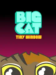 big cat tiny window ipad images 1