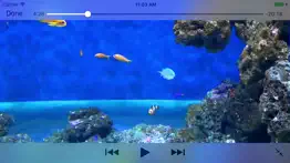aquarium videos 3d iphone resimleri 2