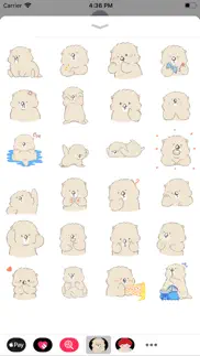 cute polar bear iphone images 2