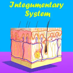 skin: integumentary system logo, reviews