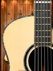 Элита Гитара - играйте аккорды айпад изображения 2