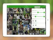 perros 2 pro ipad capturas de pantalla 2