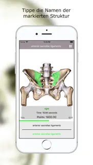 anatomie quiz premium iphone bildschirmfoto 3