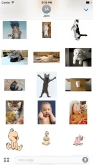 funny animal cat baby stickers iphone images 3