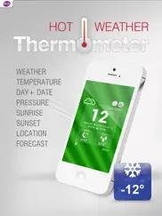 Горячая Погода термометр айпад изображения 1