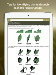 wild plant survival guide ipad images 4