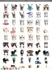 cat emoji sticker collection ipad resimleri 2