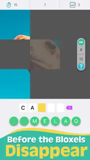 bloxels - guess the pic iphone images 2