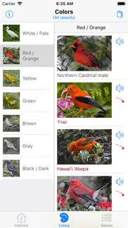 bird id hawaii iPhone Captures Décran 1