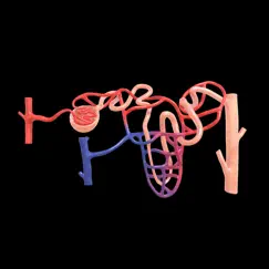 urinary system physiology logo, reviews