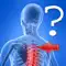Anatomy Spine Quiz anmeldelser