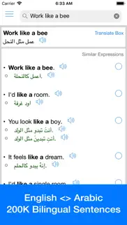 arabic translator offline iphone images 1