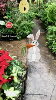 ar easter egg and bunny hunt iphone images 2