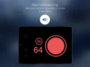 speedometer by hudway ipad images 4