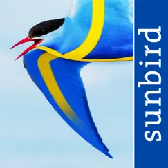 all birds sweden - photo guide logo, reviews