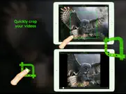 smart crop ipad images 4