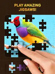 jigsaw puzzles for you ipad images 1