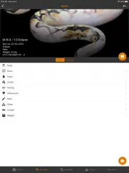 reptile scan ipad images 2