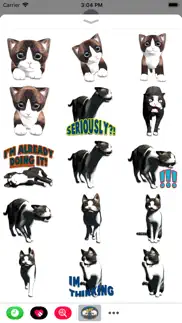 cat emoji sticker collection iphone resimleri 4