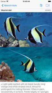 snorkel fish hawaii for iphone iPhone Captures Décran 1
