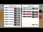 red flags - accounting fraud ipad images 2
