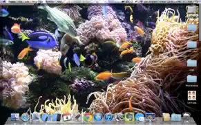 desktop aquarium wallpapers iphone images 4